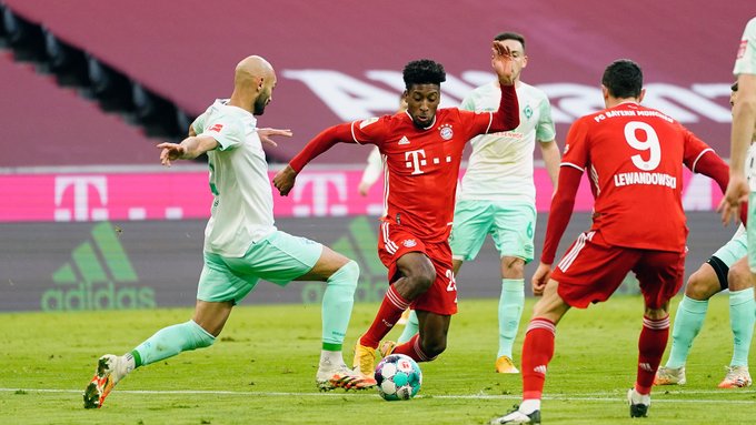 fc bayern munich bayern munich rb salzburg noticia